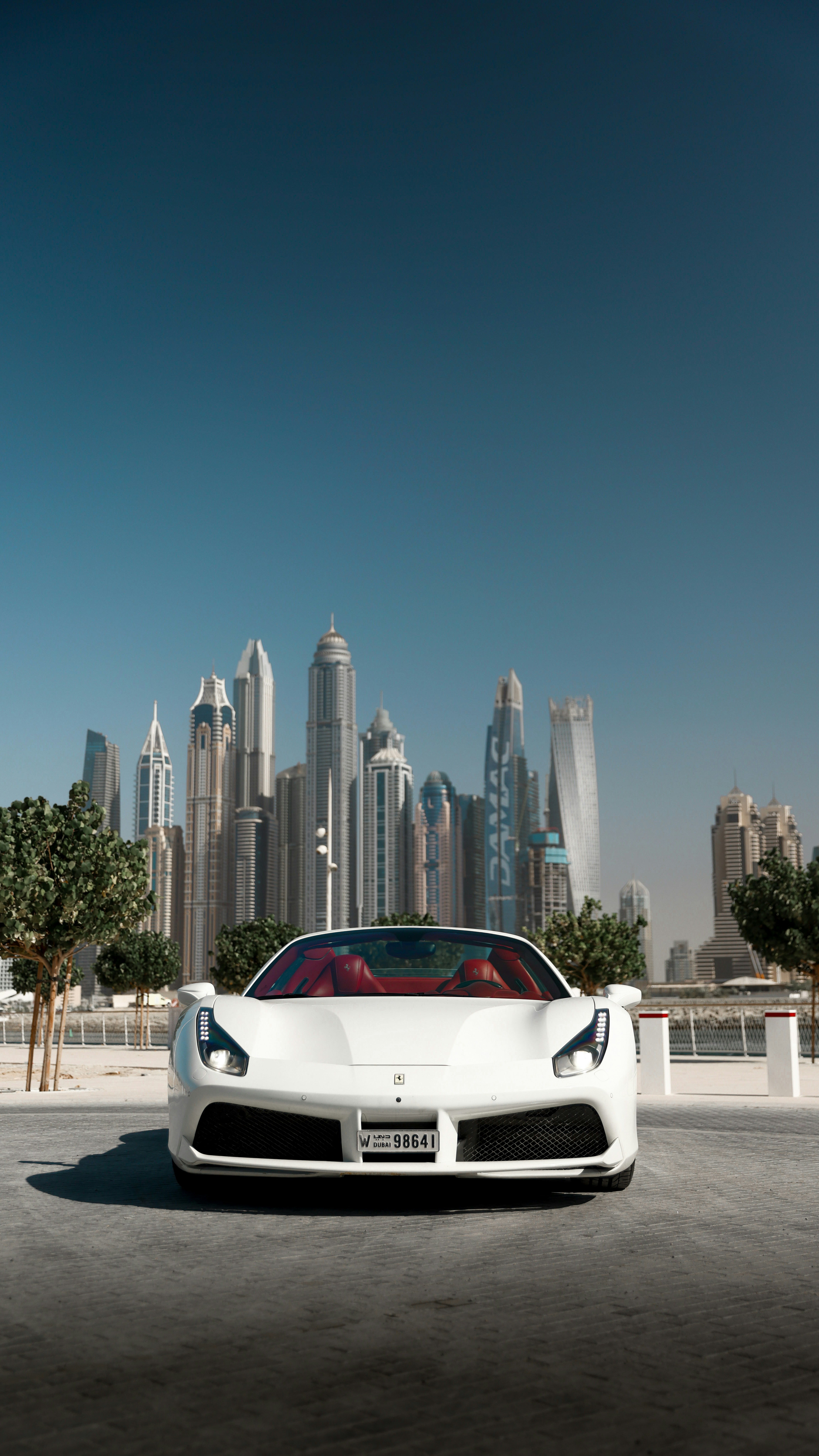Yacht Rental